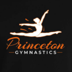 Gymnastics 1