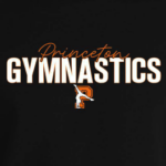 Gymnastics 2